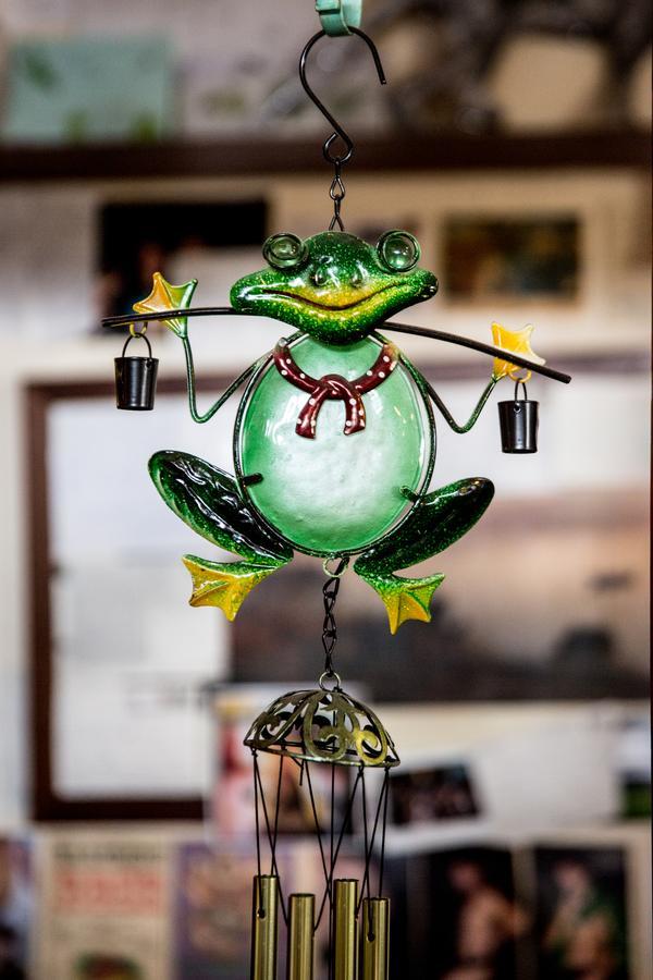 Auberge de jeunesse The Pickled Frog à Hobart Extérieur photo